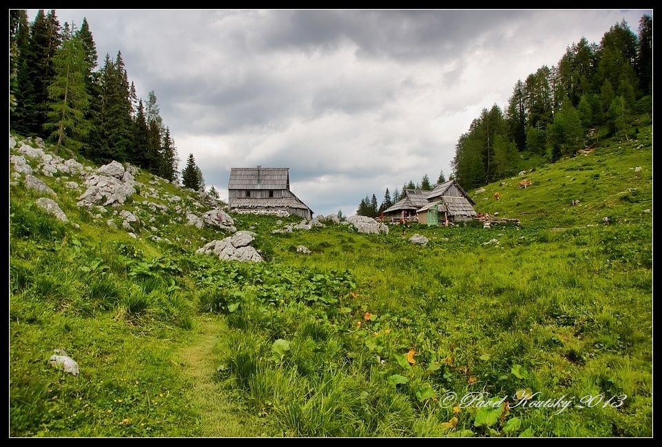 008 planina Viševnik_1855