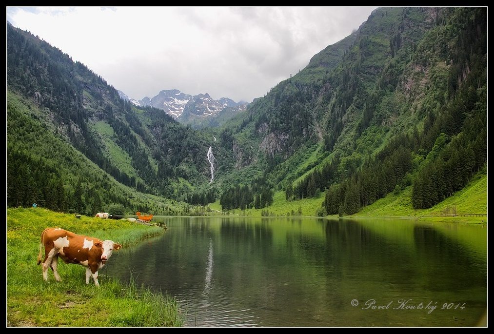 017 jezero Bodensee_4283