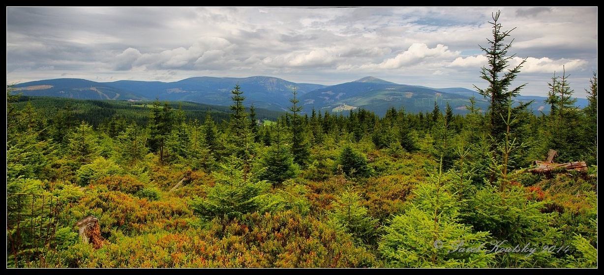 004 z Hubertovy vyhlídky,nebude dlouho trvat a panorama zmizí za smrčinou_4975 Panorama