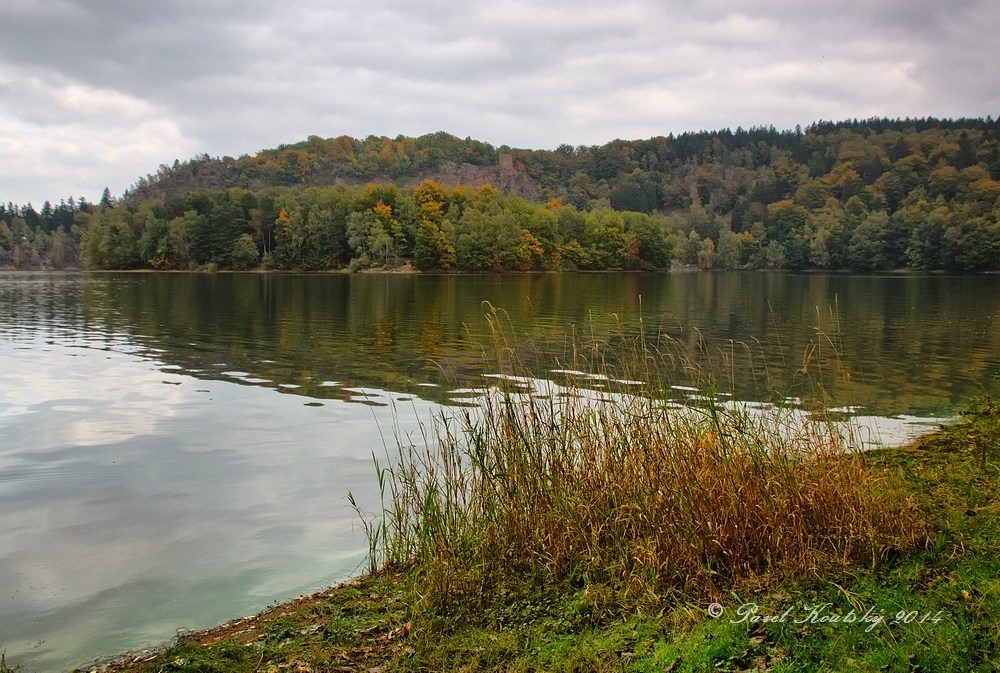 001 ostrov na Sečské př.v pozadí zřícenina hradu Oheb_5074