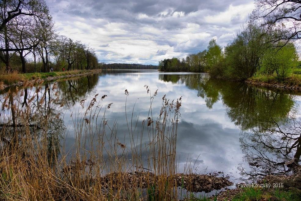005 rybník Vítek, vlevo hráz mezi Vítkem a Rožmberkem 150705_29