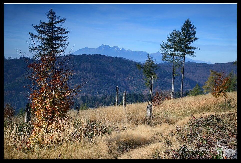 Vys.Tatry ze Spišské Magury 5965 jpg.jpg