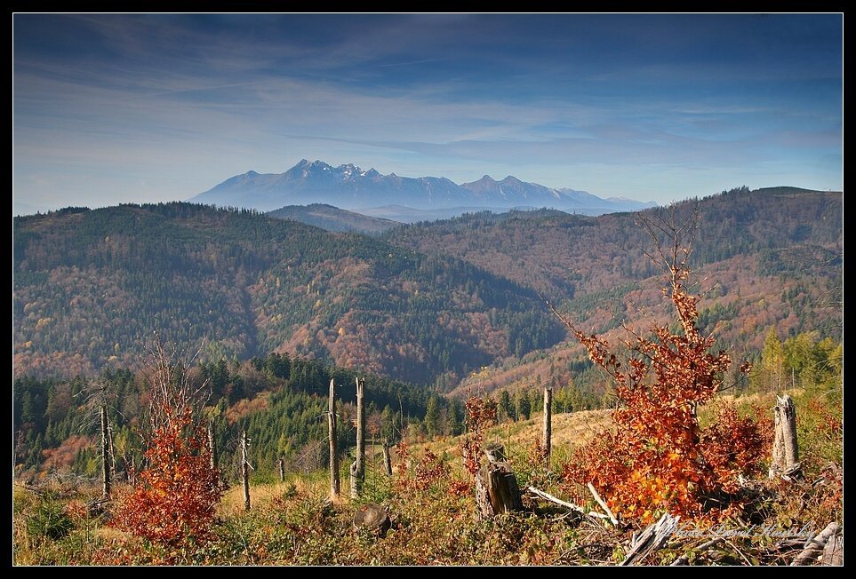 Podzim,Spišská Magura,V.Tatry_5970.jpg