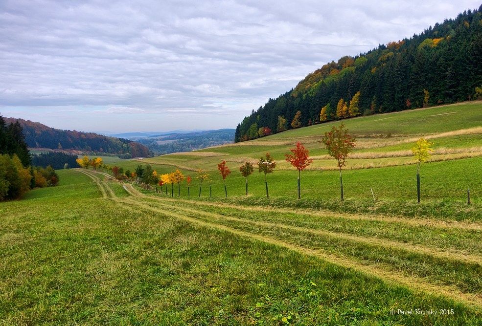 010 baravná cesta nad Pstražnou 151110_34