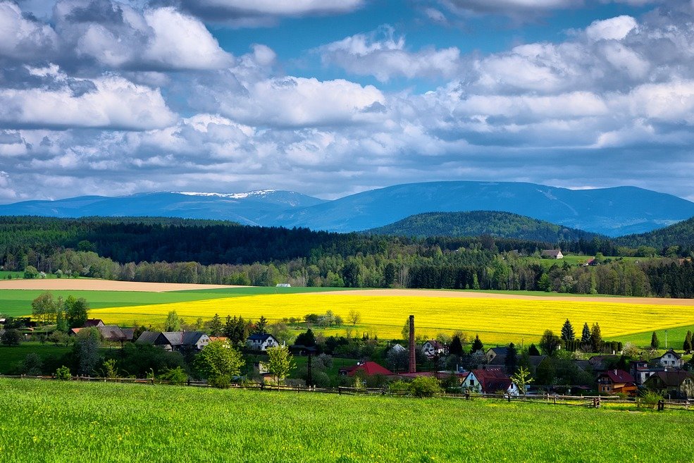 04 pastviny pod Zvičinou, v pozadí Krkonoše 160805_11