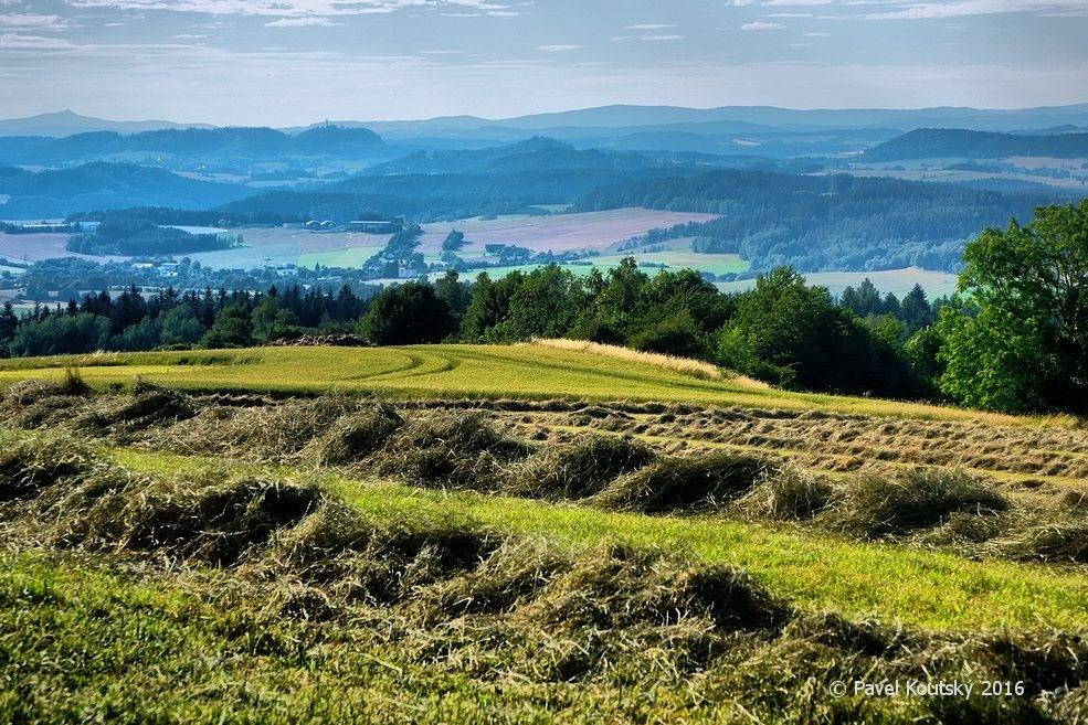 006 vonící seno, vlevo v pozadí Ještěd 161007_11